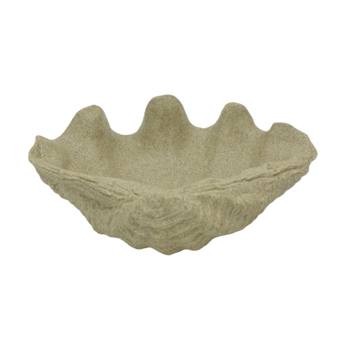 Coastal Clam Shell Garden Planter