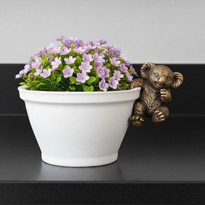 Curious Koala Peekaboo Pot Hanger Pair