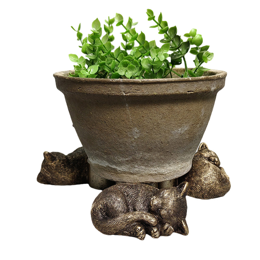 Cosy Napping Cat Pot Feet Set