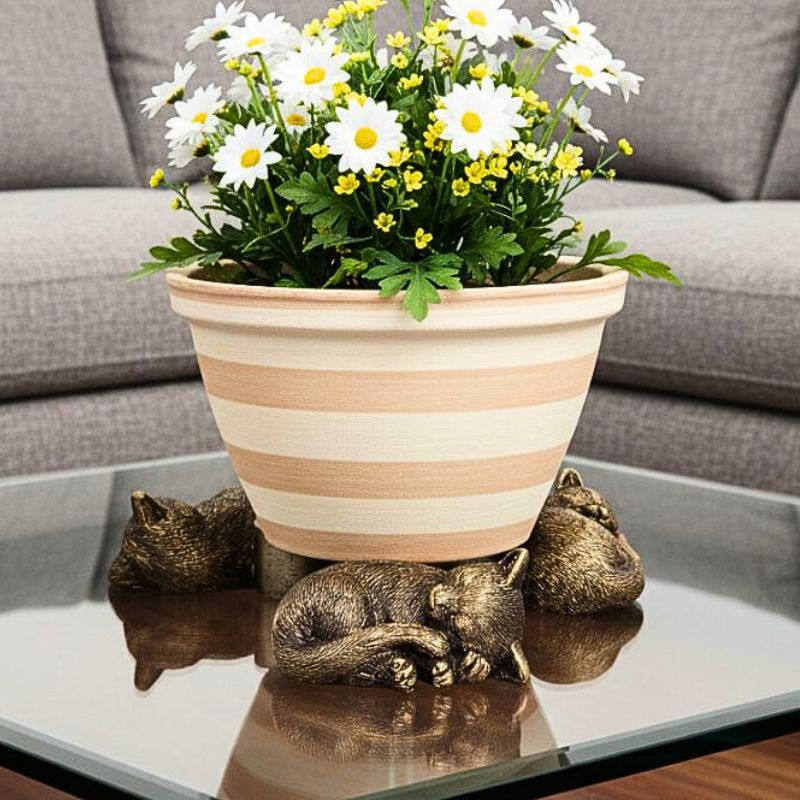 Cosy Napping Cat Pot Feet Set