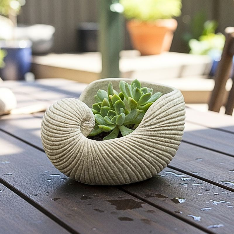 Coastal Seashell Garden Planter