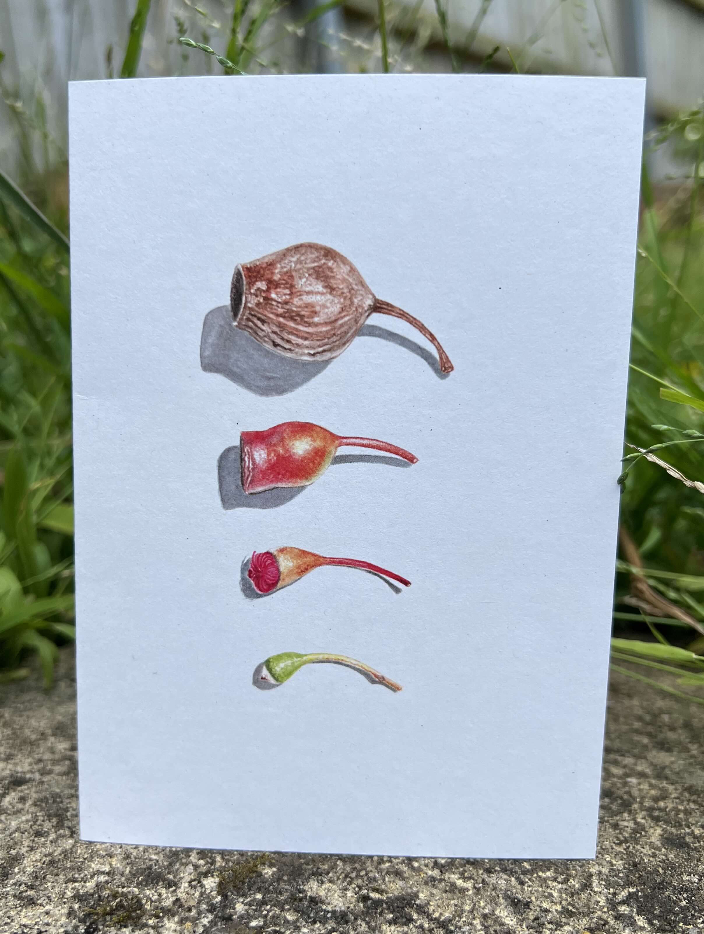 Trust the process greeting card