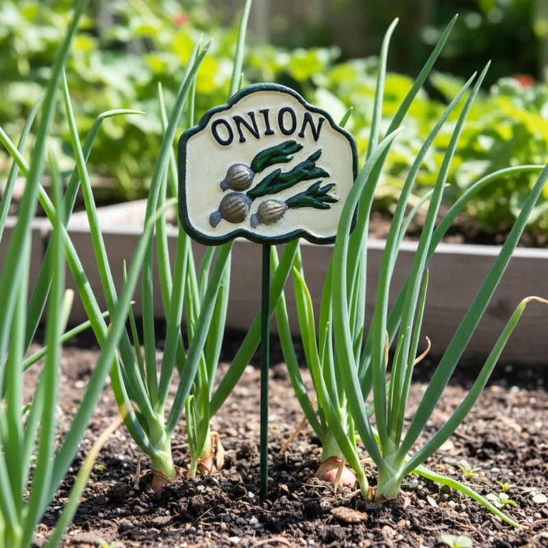 Onion Garden Stake