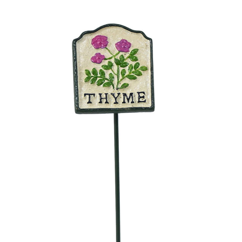 Colourful Thyme Herb Garden Stake