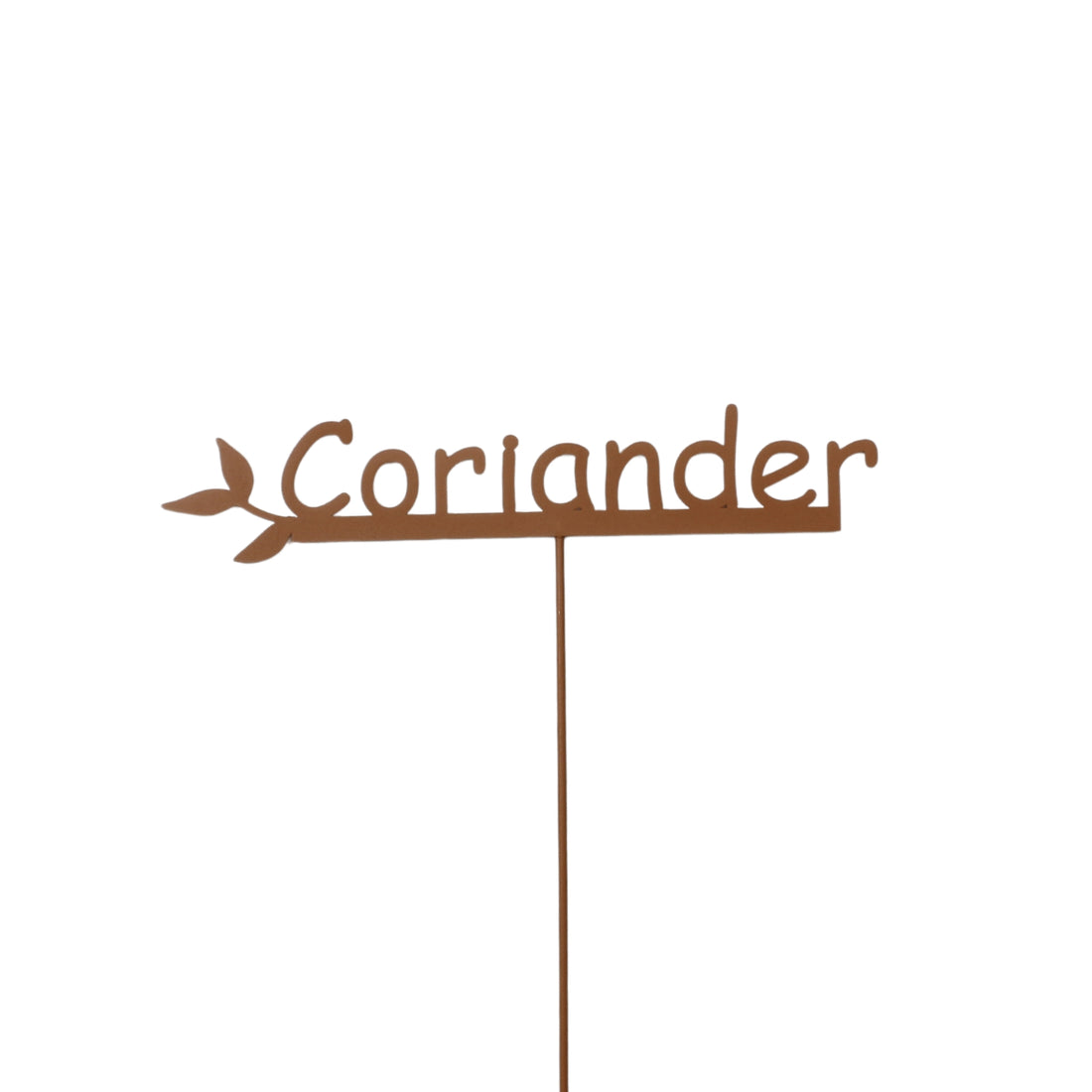 Coriander Garden Stake