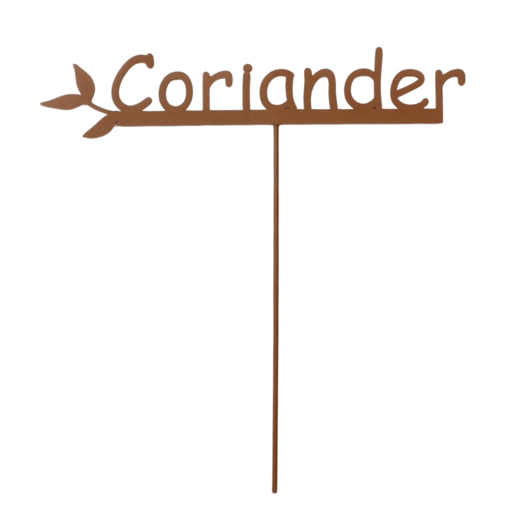 Coriander Garden Stake