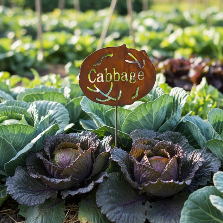 Rustic Cabbage Garden Stake