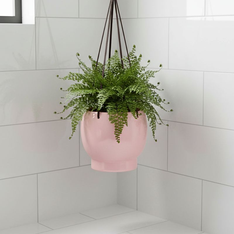Bubble Hanging Planter