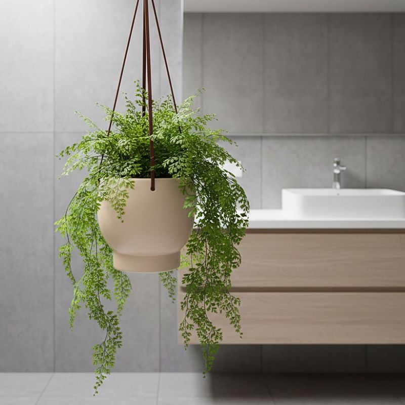 Bubble Hanging Planter