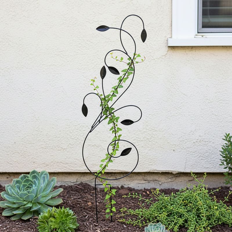 Growing frame vines