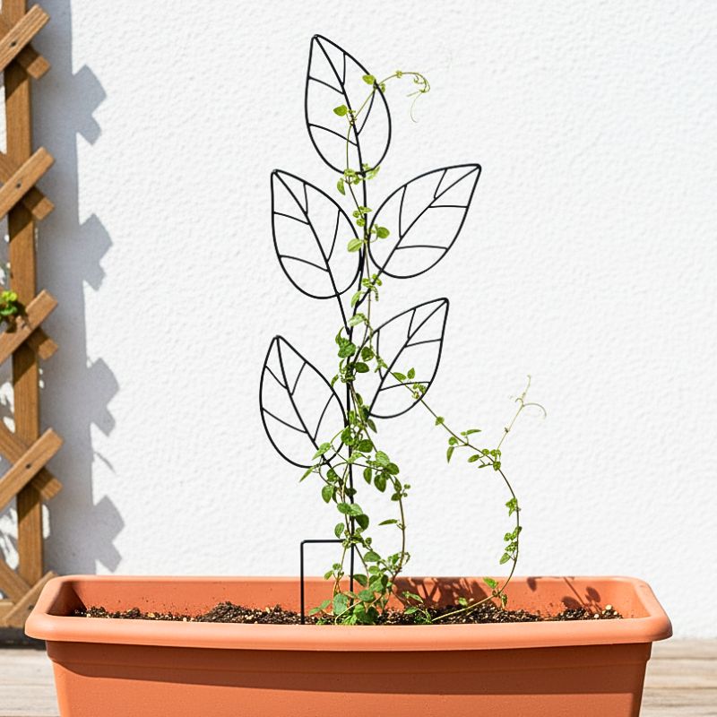 Growing frame leaves