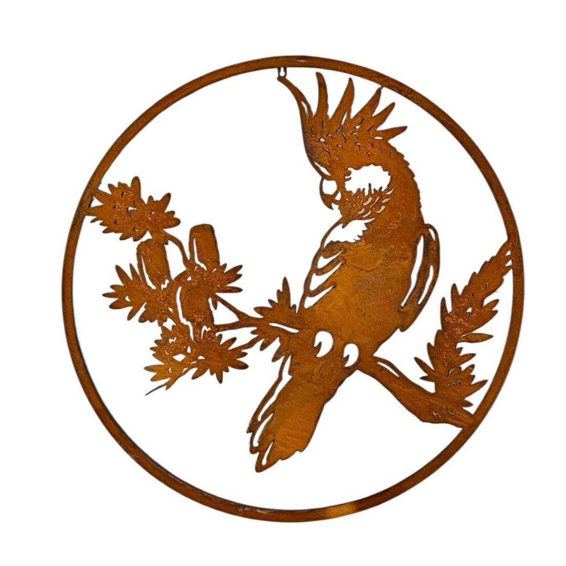 Rust Cockatoo on Banksia Wall Art