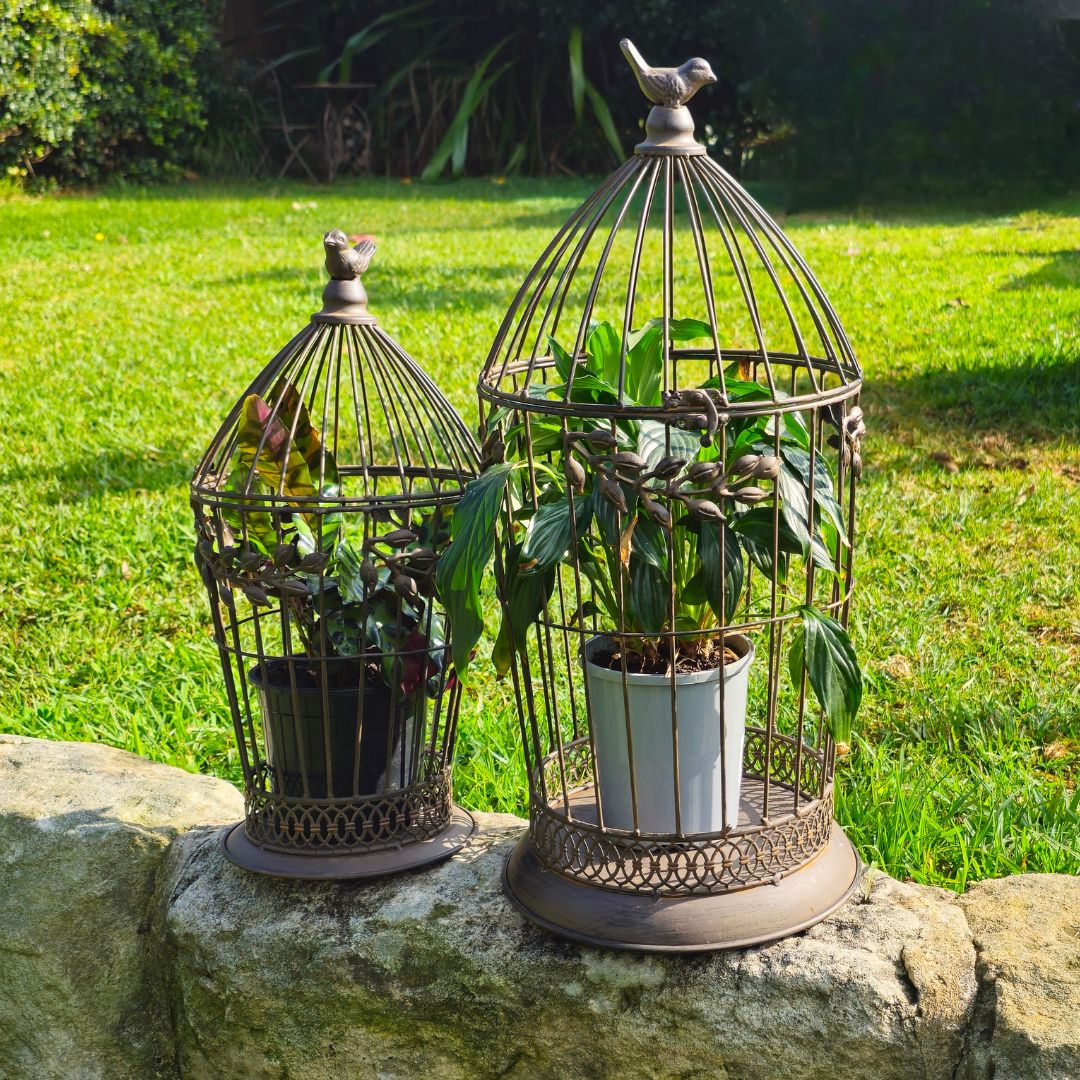 Set of 2 Bird Cage Plant Holder