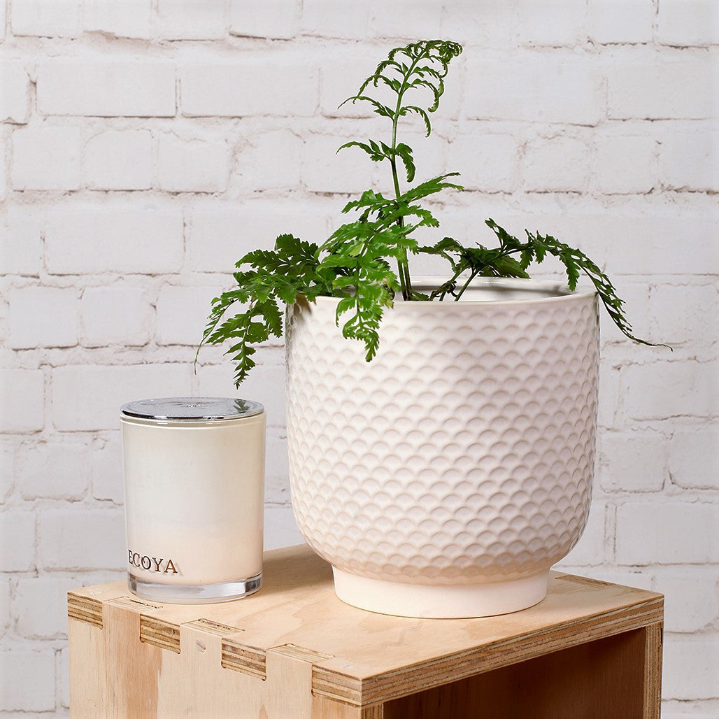 Extra Large Shell Ceramic Planter