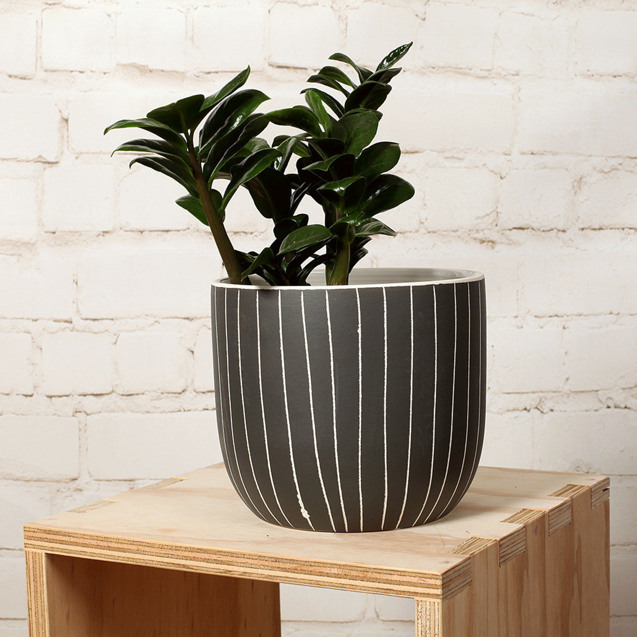 Hand drawn striped Extra Large Pot In Olive