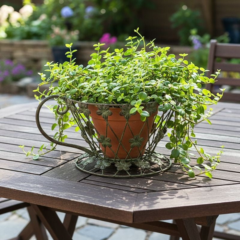 Vintage Teacup Garden Planter