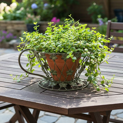 Vintage Teacup Garden Planter