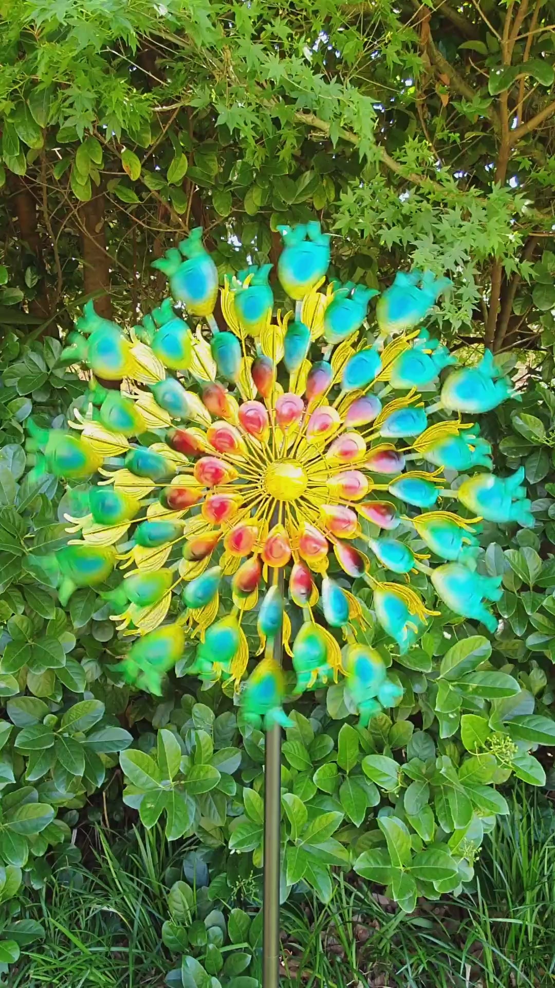 Peacock Windspinner