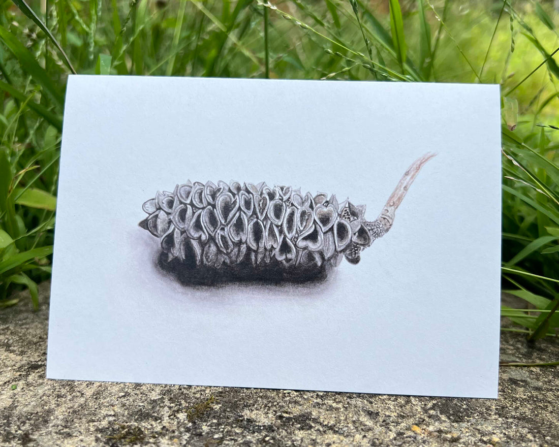 Resilience greeting card