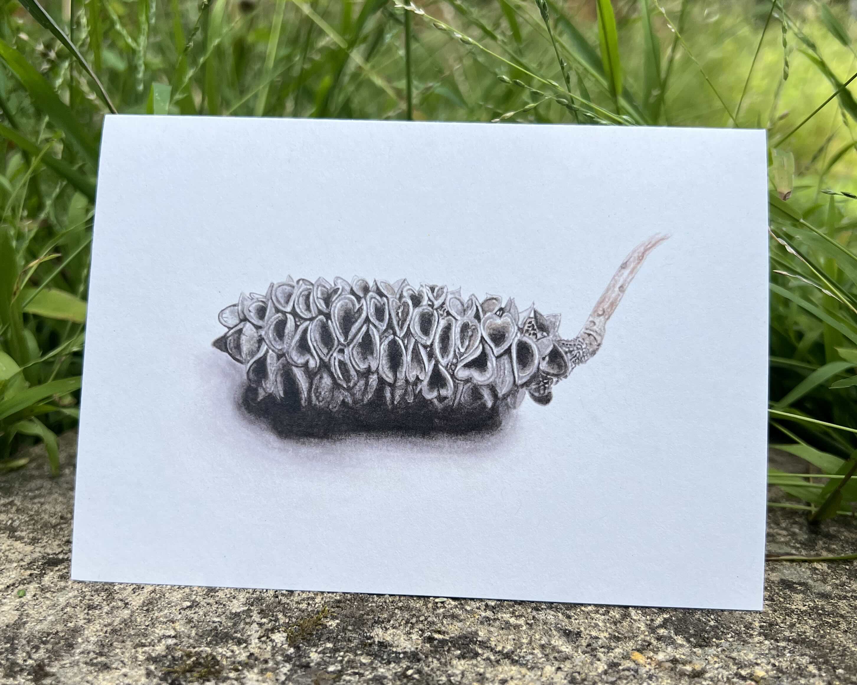 Resilience greeting card