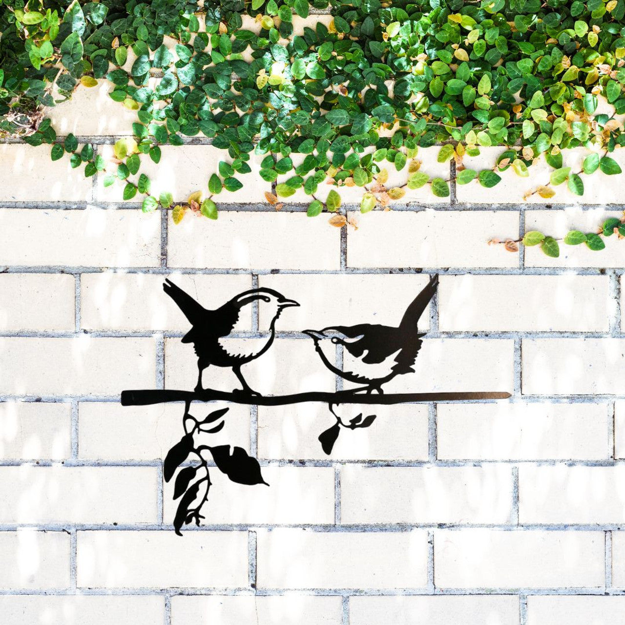 Wrens on a Branch Wall Art