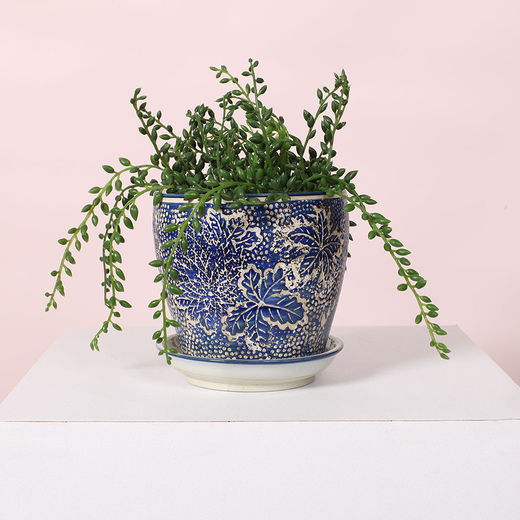 Hellebore Ceramic Planter