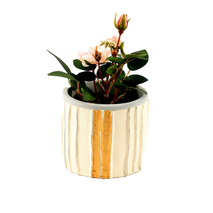 Flash Of Gold Cement Pot